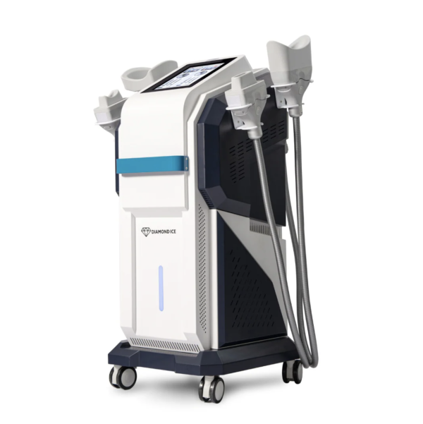 Pro Fat Removal & Definition Bundle - Image 2